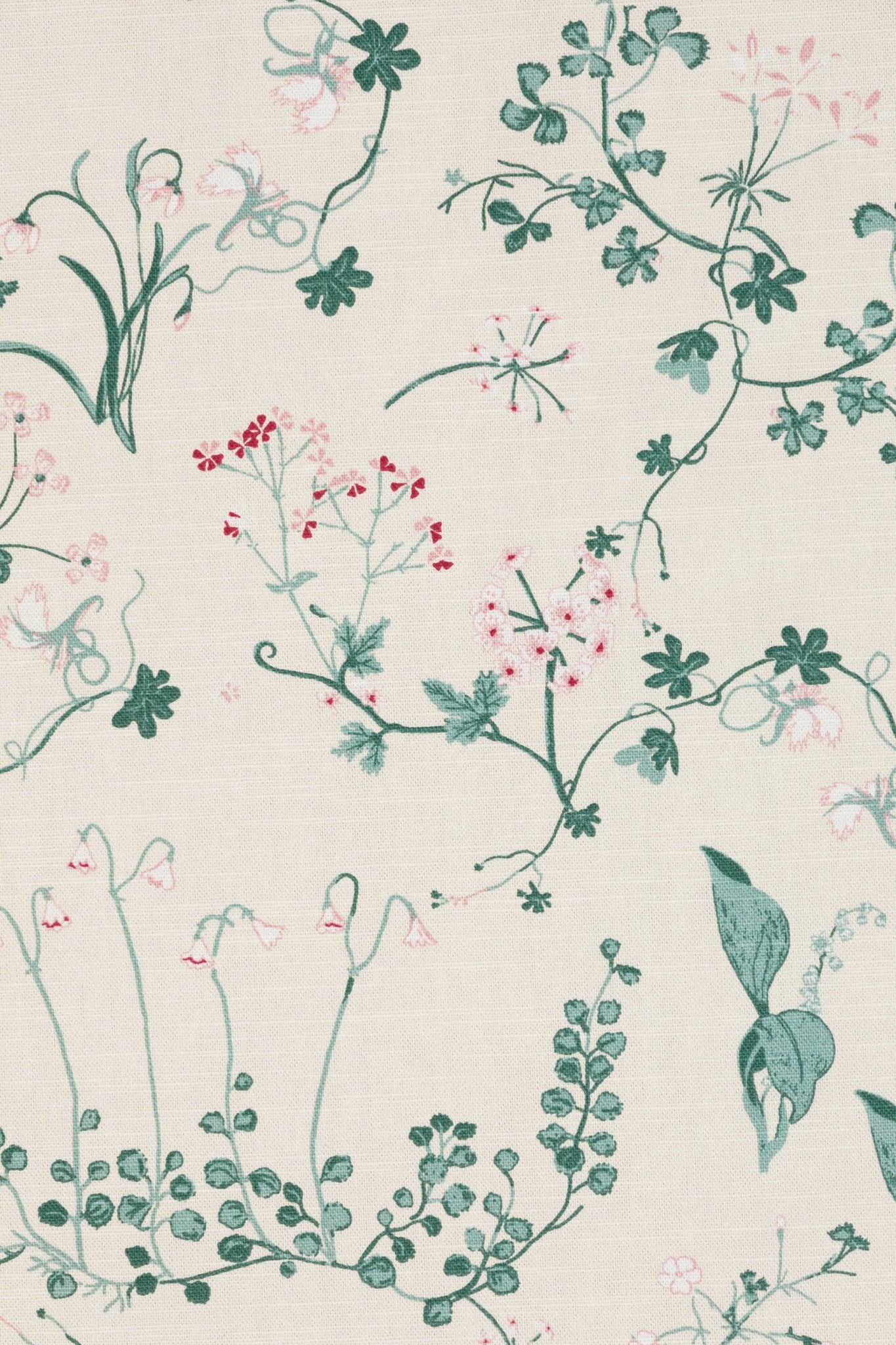 Botanica Curtains | Made to Measure | Ivory