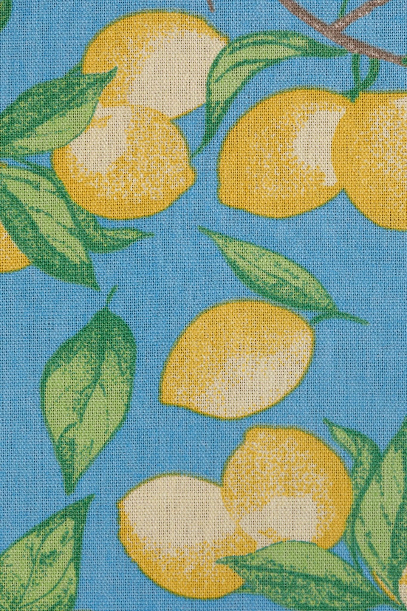 Capri Lemon Curtains | Made to Measure | Azure Blue