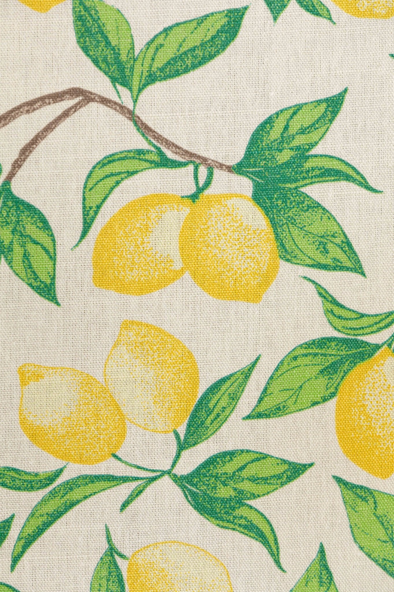 Capri Lemon Curtains | Made to Measure | Cream