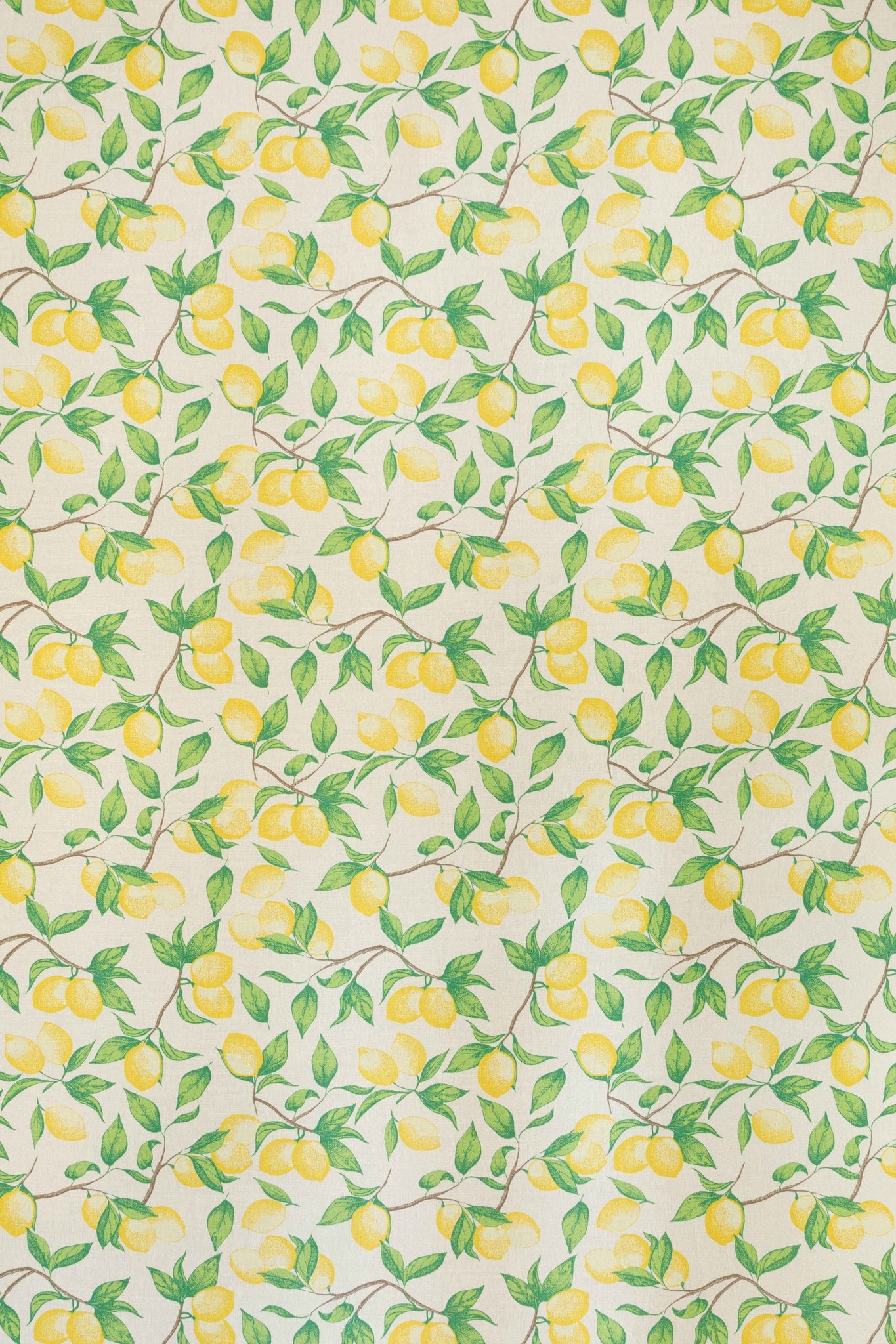 Capri Lemon Roman Blind | Made to Measure | Cream