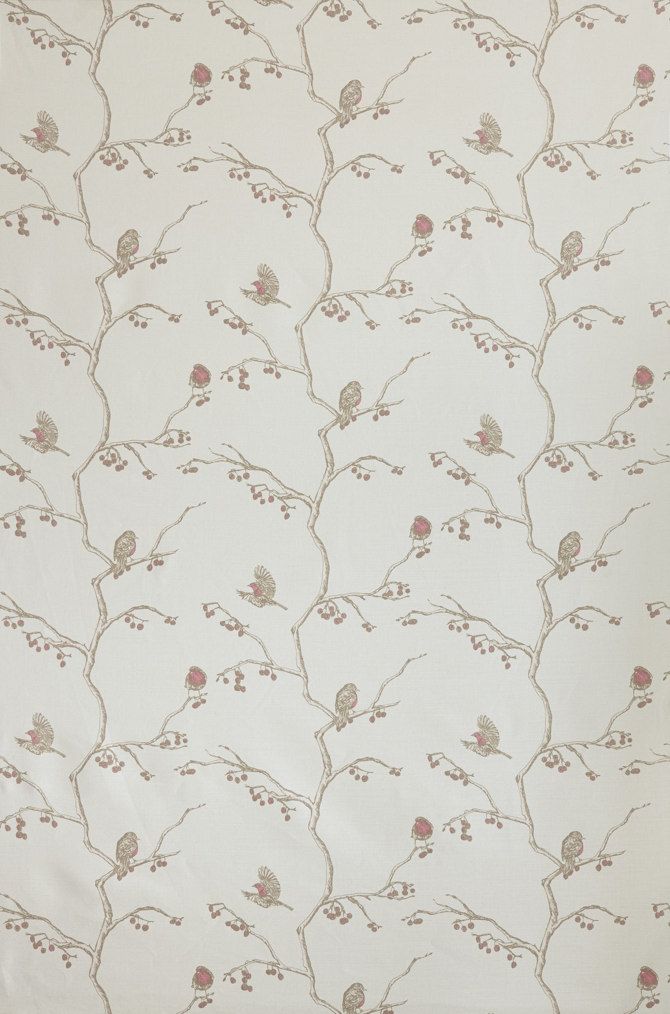 The English Robin Roman Blind | Made to Measure | Parchment