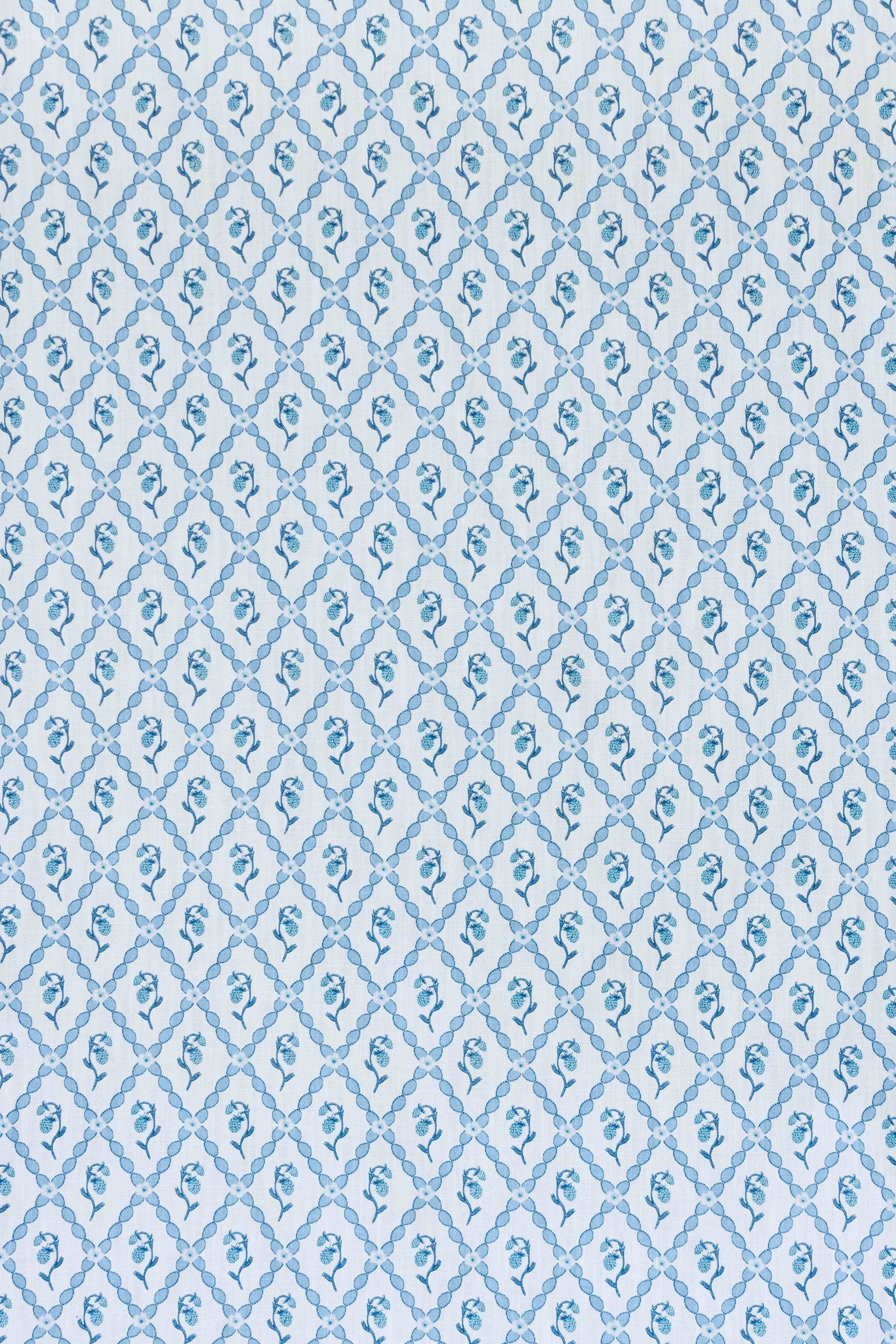 Wild Strawberry Trellis Curtains | Made to Measure | China Blue