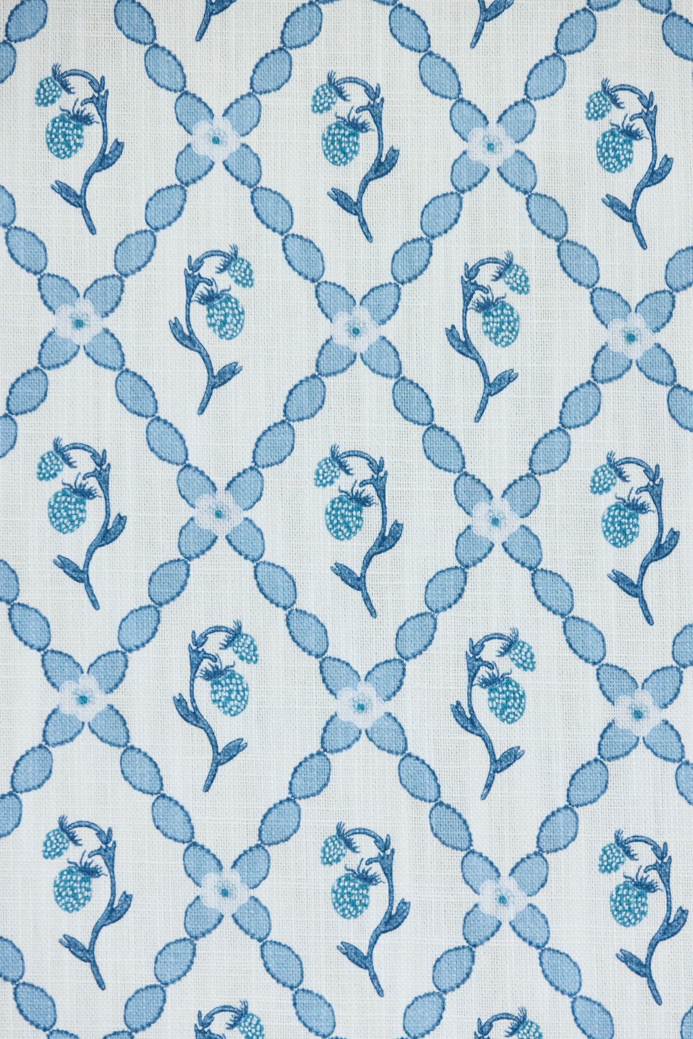 Wild Strawberry Trellis Curtains | Made to Measure | China Blue