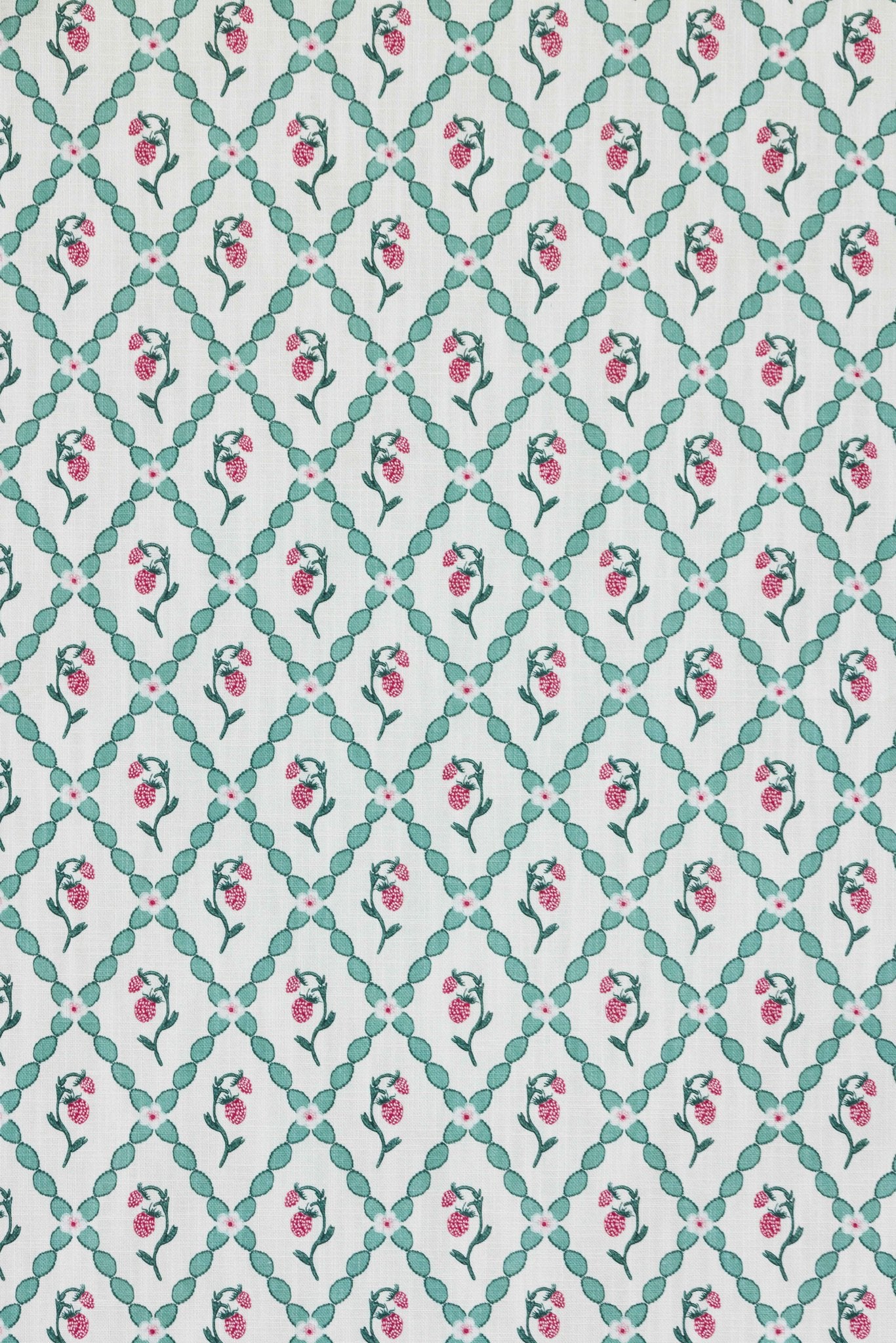 Wild Strawberry Trellis Roman Blind | Made to Measure | Vintage Cream